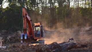 AIC welcomes delay to deforestation regulation