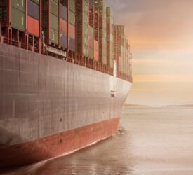EU agri-food trade remained stable in May – report