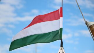 UK lifts import ban on Hungary after FMD outbreak contained