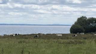 Minister urged to attend meeting with farmers about Lough Neagh