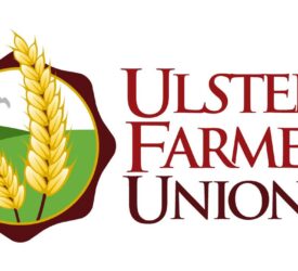 UFU appoints new chief executive