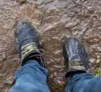 ‘Why don’t you muck off?’ – AHDB