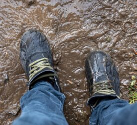 ‘Why don’t you muck off?’ – AHDB