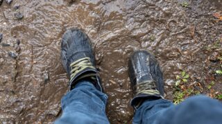 ‘Why don’t you muck off?’ – AHDB