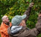 How Iceland is learning from Scotland’s forestry sector
