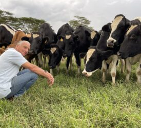 Dairy Focus: Kenyan farmer cares more about genetics than milk yield