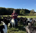 Watch: From finance careers to a goat farm in Denmark