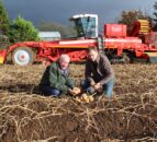 Maincrop potato harvest in Northern Ireland now 80% completed