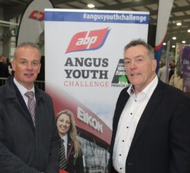Red meat sector needs ‘young people from every walk of life’ – ABP NI director