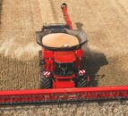 Defra publishes first 2025 grain and oilseed harvest estimates for England