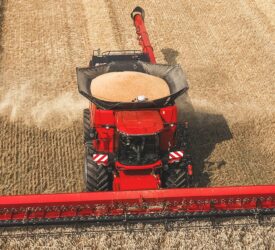 Defra publishes first 2025 grain and oilseed harvest estimates for England