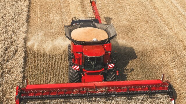 Defra publishes first 2025 grain and oilseed harvest estimates for England
