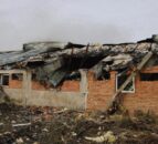 Graphic pics: 13,000 pigs killed in Ukraine during bombing of farm