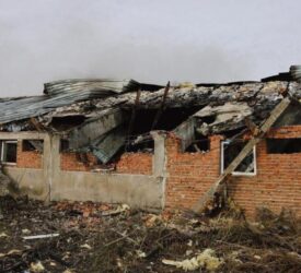 Graphic pics: 13,000 pigs killed in Ukraine during bombing of farm