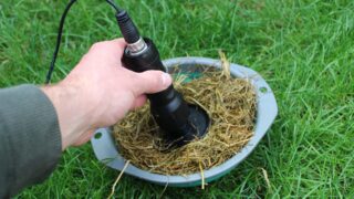 Dairy advice: Time to test the winter milking herd’s silage
