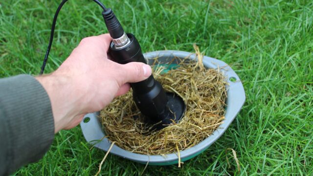Dairy advice: Time to test the winter milking herd’s silage