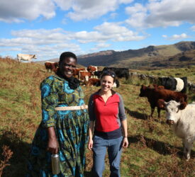 The shared problems of mountain farmers from Wales to Uganda
