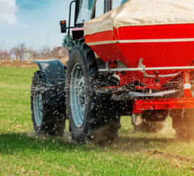 How to improve phosphorous uptakes by crops