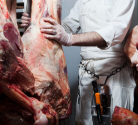 Survey: Small abattoirs critical to farming and meat businesses