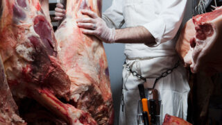 Survey: Small abattoirs critical to farming and meat businesses