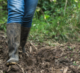 Inclusion of women in agriculture ‘is not just desirable – it’s essential’