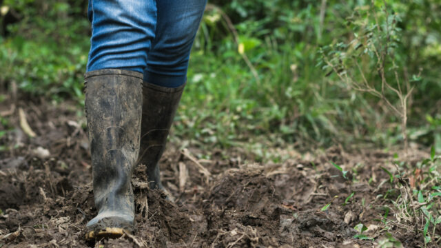 Inclusion of women in agriculture ‘not just desirable – it’s essential’