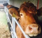 Heydon and Muir announce new TB cooperation project