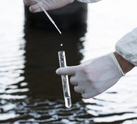 NI farmer convicted for water pollution offence