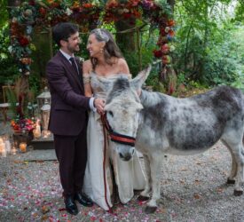 Meet Quincy, the donkey VIP wedding guest