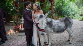 Meet Quiney, the donkey VIP wedding guest