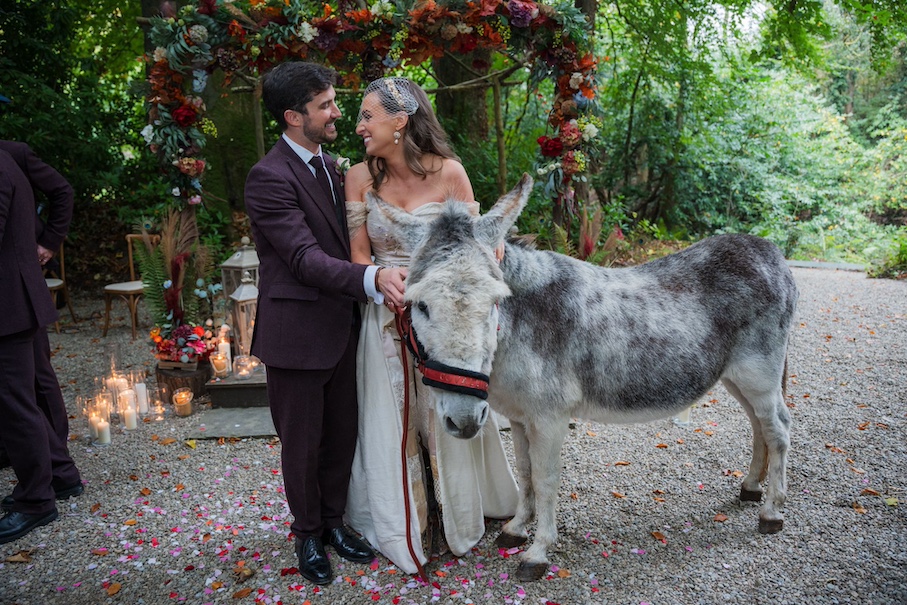 Meet Quincy, the donkey VIP wedding guest