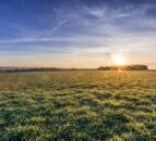 Closing out the grazing platform on heavy soil farms