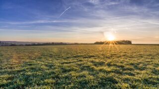 Closing out the grazing platform on heavy soil farms