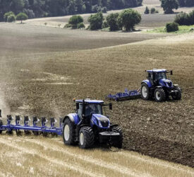 Overum declares itself bankrupt as directors disappear