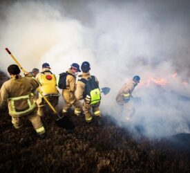 £7.3m in damages caused by farm fires in NI during 2024 – report