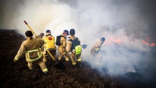£7.3m in damages caused by farm fires in NI during 2024 – report