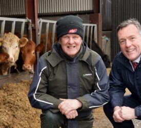 Update from ABP’s UK red meat sustainability programme