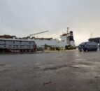 Watch: Shipping 1,600 cows from Waterford to Algeria