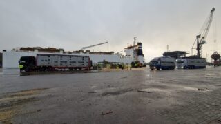 Watch: Shipping 1,600 cows from Waterford to Algeria