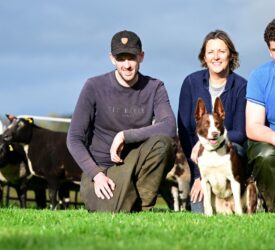 Derg Dutch Spotted flock set for disperal sale at Ballymena