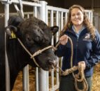 New vet lead appointed to Ai Services and Eurogene