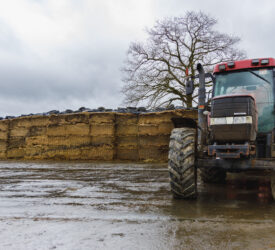 Silage samples from 2025 show ‘mixed results’ – ForFarmers