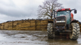 Silage samples from 2025 show ‘mixed results’ – ForFarmers
