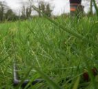 AgriSearch seeks farmers for next phase of grasscheck programme