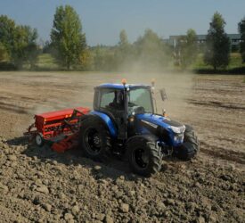 Sharp increase in UK oilseed rape planted area projected