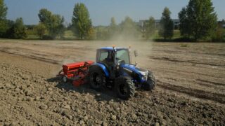 Sharp increase in UK oilseed rape planted area projected