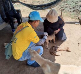 Daughter of woman who died from rabies after dog scratch in vaccination plea