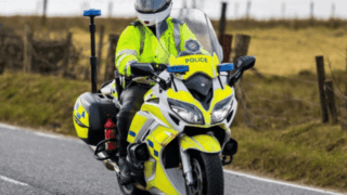 PSNI appeal for information following report of cattle theft from Tyrone farm