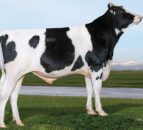 Improving milk components a priority for NI dairy farmers – breeding specialist