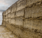 Reasons to keep silage waste to a minimum this winter